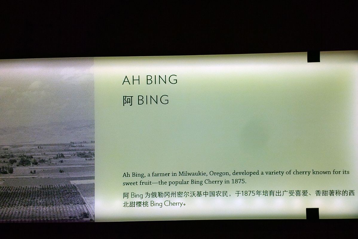 19-3 Farmer Ah Bing From Milwaukie Oregon Developed A Cherry In 1875 Known For its Sweet Cherry, The Bing Cherry At Museum Of Chinese In America MOCA Near Chinatown New York City